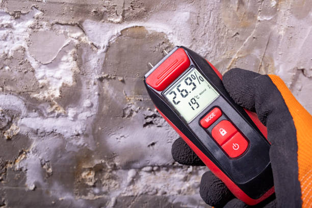 Best Mold Cleaning Services  in Lowell, AR