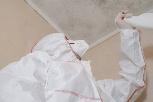 Best Mold Testing  in Lowell, AR
